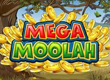 Mega Moolah Oynayın!